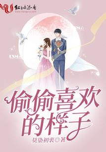 怎么样学初级会计实务
