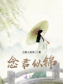 考初级会计最佳学习方法