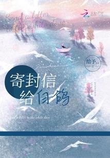 城南区会计纳税申报公司