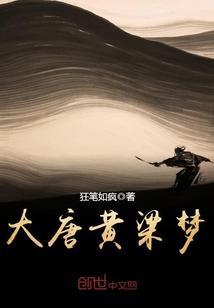 尼日尔政变财政