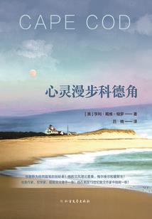 张士炳青岛会计师