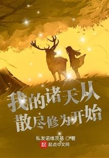 报考中级会计证流程