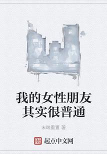 注册会计师税法基础