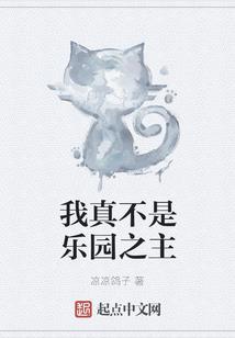 成都合拍财税
