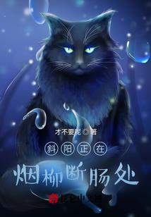 武汉哪个专业会计好