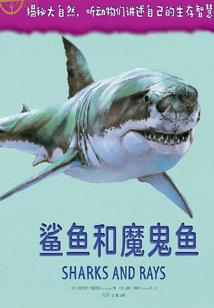 购买螺蛳粉酱料会计分录