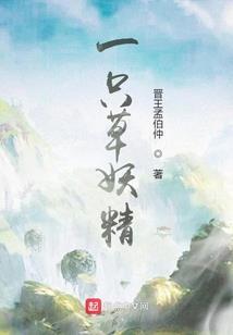 实用的外贸会计