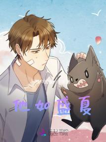 总会计师由谁领导