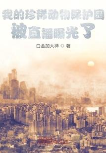 多有米财税大熊