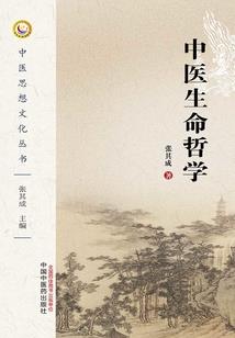 中大会计师