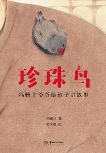 定安财税公司代办