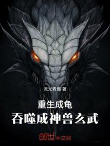 会计师先考哪些证书