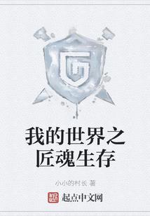 海南兴平会计师