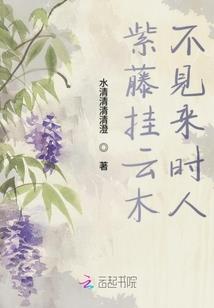 农村会计聘用