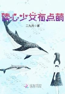 国际财税法