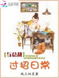 会计中级证考试内容