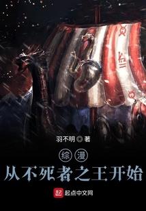 中国公共会计师