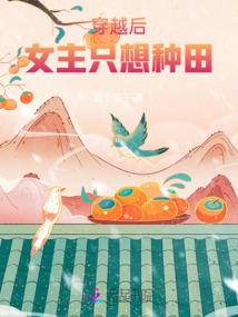 cpa怎么学更高效