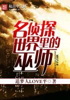 执业律师证兼职会计