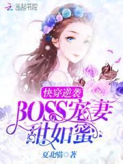 购软件费会计分录