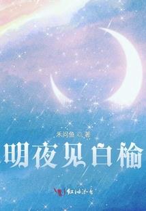 财务与会计高顿