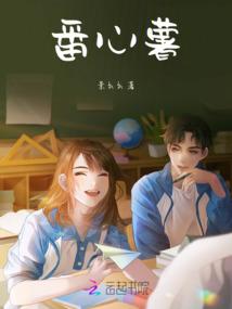 企业中级会计师退休工资