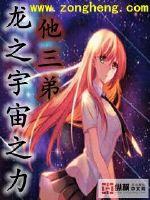 财政权它又称