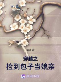 高级会计师考试学习课件
