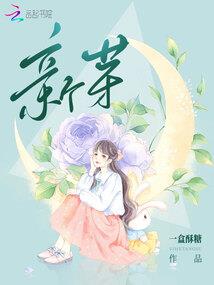 邢台会计证邮寄