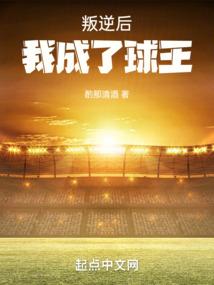 cfi会计基础证书