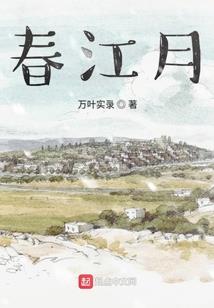 上海财税怎么收费