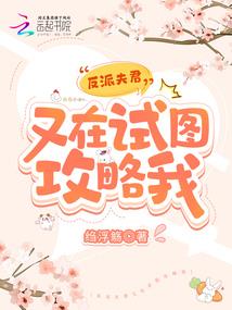 武汉中级会计职称待遇