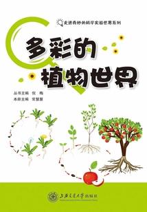 初级会计照片审核截止