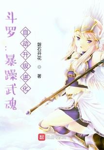 高级高级会计师培训