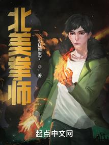 二本会计师招聘