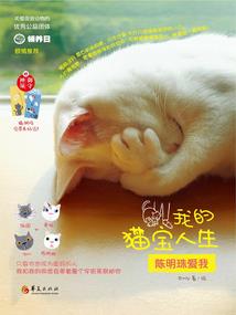 今日东奥宣传视频短片