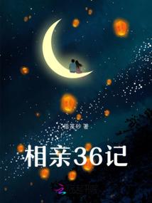 西飞审计会计师