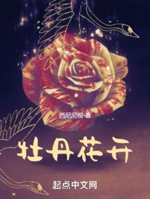财税票采集原理