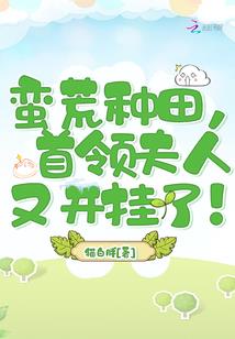 佛山2017财政