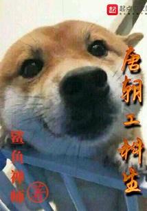 cpa多少钱包过
