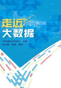 CPA300功放