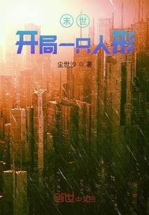 会计实践经历