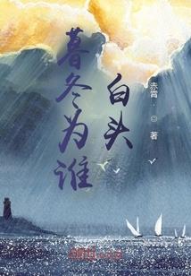 广东省直会计师审核