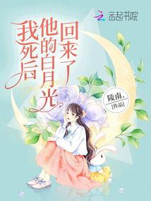 模型财政政策
