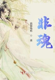 总会计师证cfo