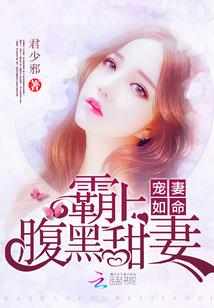 分期买车会计分录