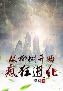 领带财税