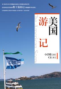 会计职业生涯规划书模板