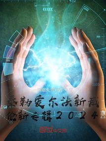 高会计师技术报告