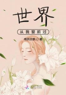 财税二宝